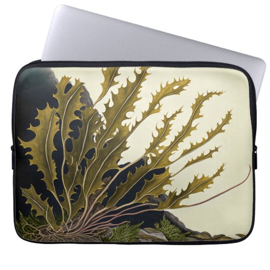 Tidal Fronds Laptopschutzhülle (Vorderseite)