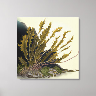 Tidal Fronds Leinwanddruck