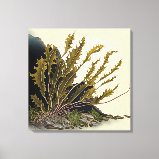 Tidal Fronds Leinwanddruck (Vorderseite)