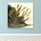Tidal Fronds Leinwanddruck (Insitu (Holzboden))