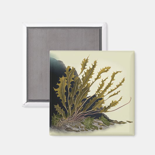 Tidal Fronds Magnet (Vorderseite/Rückseite)