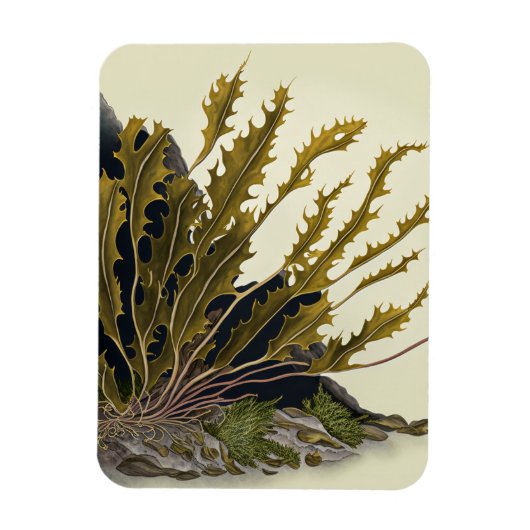 Tidal Fronds Magnet (Vertikal)