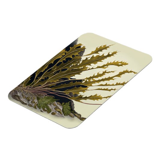 Tidal Fronds Magnet (Linke Seite)