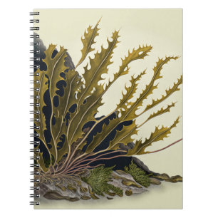 Tidal Fronds Notizblock