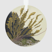 Tidal Fronds Ornament (Rückseite)