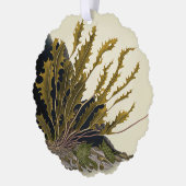 Tidal Fronds Ornament Karte (Links)