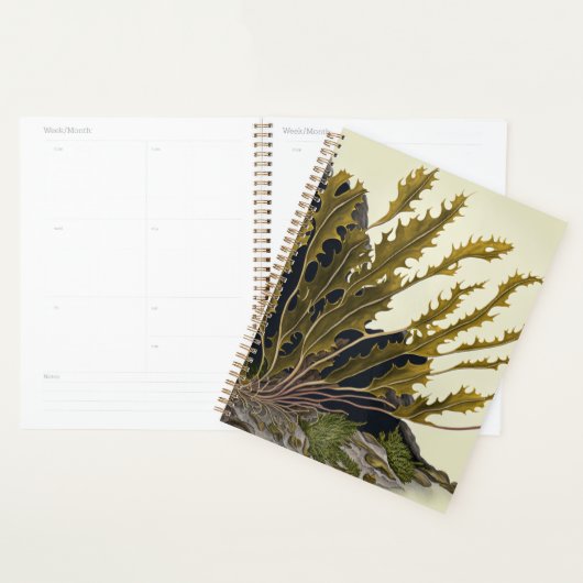 Tidal Fronds Planer (Anzeige)