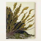 Tidal Fronds Planer (Rückseite)