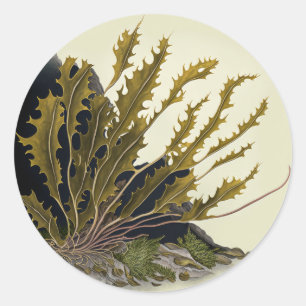 Tidal Fronds Runder Aufkleber