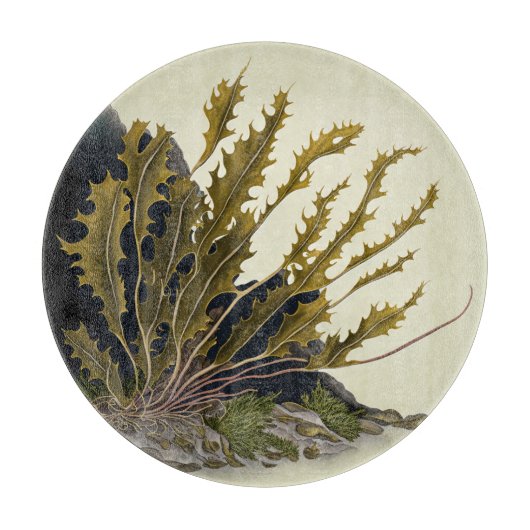 Tidal Fronds Schneidebrett (Vorderseite)