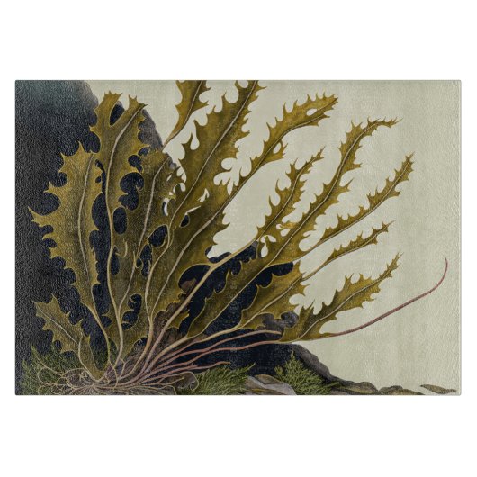Tidal Fronds Schneidebrett (Vorderseite)