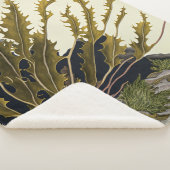 Tidal Fronds Sherpadecke (3/4)