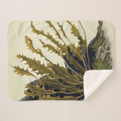 Tidal Fronds Sherpadecke (Vorderseite (Horizontal))