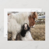 TIddles und des Sturms schlichte Postkarte (Vorne/Hinten)