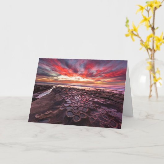 Tide Pools in La Jolla, CA Karte (Gelbe Blume)