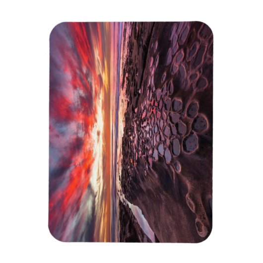 Tide Pools in La Jolla, CA Magnet (Vertikal)
