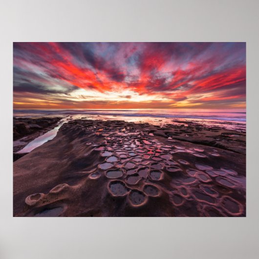 Tide Pools in La Jolla, CA Poster (Vorne)