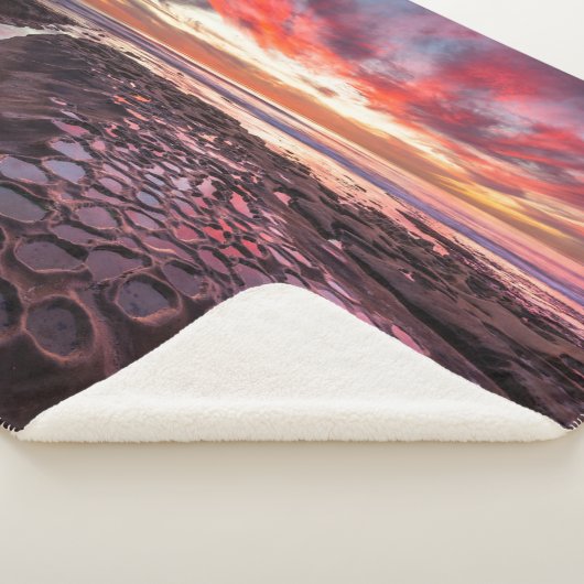 Tide Pools in La Jolla, CA Sherpadecke (3/4)