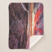 Tide Pools in La Jolla, CA Sherpadecke (Vorderseite)