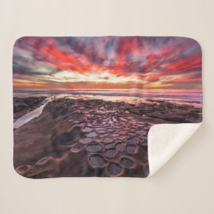 Tide Pools in La Jolla, CA Sherpadecke