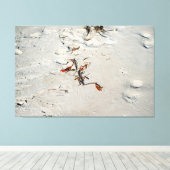 Tideline Calligraphy Leinwanddruck (Insitu (Holzboden))