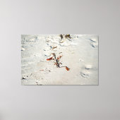 Tideline Calligraphy Leinwanddruck (Vorderseite)