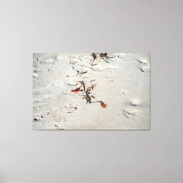 Tideline Calligraphy Leinwanddruck