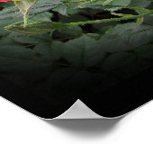 Tidely Winks Miniatur Rose Kunst, Dichtung und Mus Poster (Ecke)