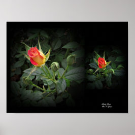 Tidely Winks Miniatur Rose Kunst, Dichtung und Mus Poster
