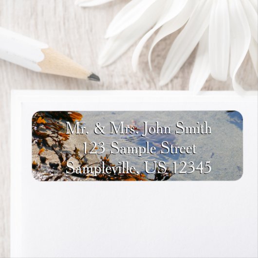 Tidepool at Sand Beach (Insitu)