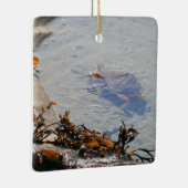 Tidepool at Sand Beach Keramikornament (Rechts)