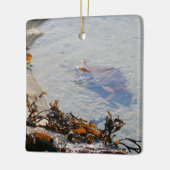 Tidepool at Sand Beach Keramikornament (Links)