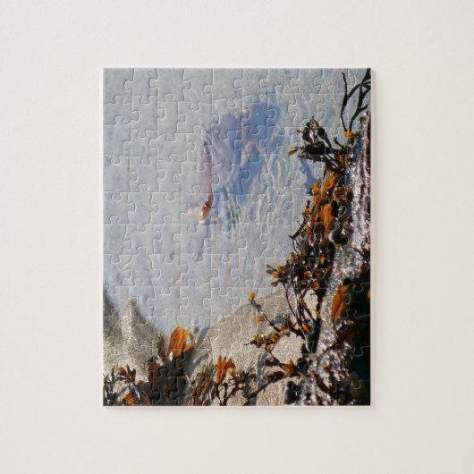 Tidepool at Sand Beach Puzzle (Vertikal)