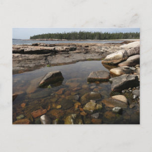 Tidepool at Wonderland in Acadia Nationalpark Postkarte