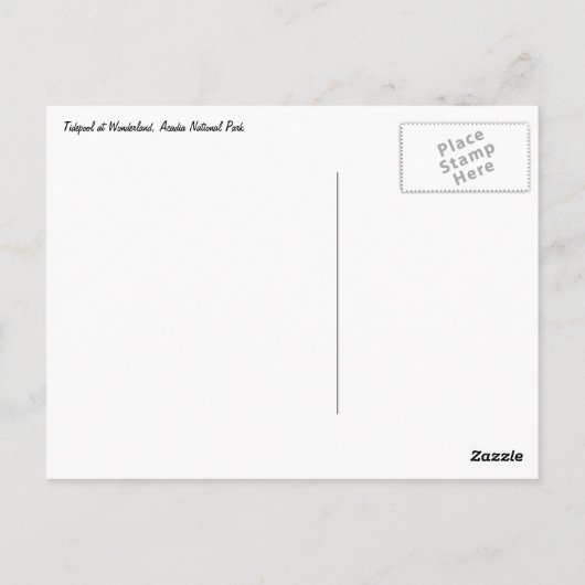 Tidepool at Wonderland in Acadia Nationalpark Postkarte (Rückseite)