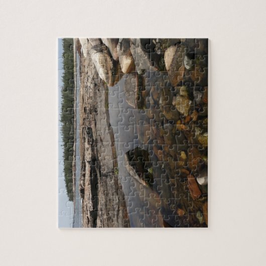 Tidepool at Wonderland in Acadia Nationalpark Puzzle (Vertikal)