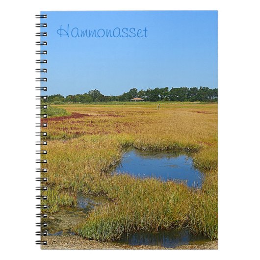 Tidepool Marsh Notebook Notizblock (Vorderseite)