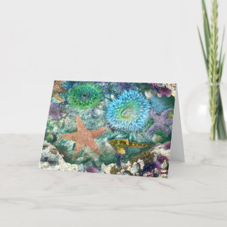Tidepool Reflektionen Grußkarte Karte
