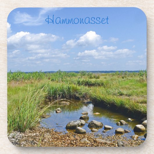 Tidepool Untersetzer (Vorderseite)