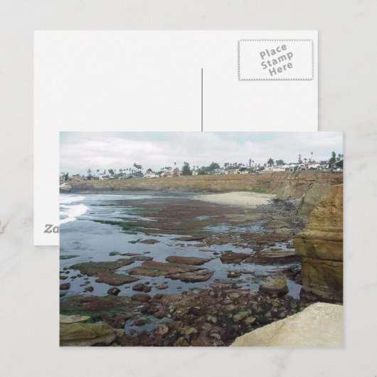Tidepools Ocean Beach Cliffs Postkarte (Vorne/Hinten)