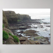 Tidepools Ocean Cliffs Poster (Vorne)