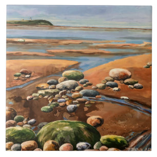 Tides Out Meeresstrand Fliese