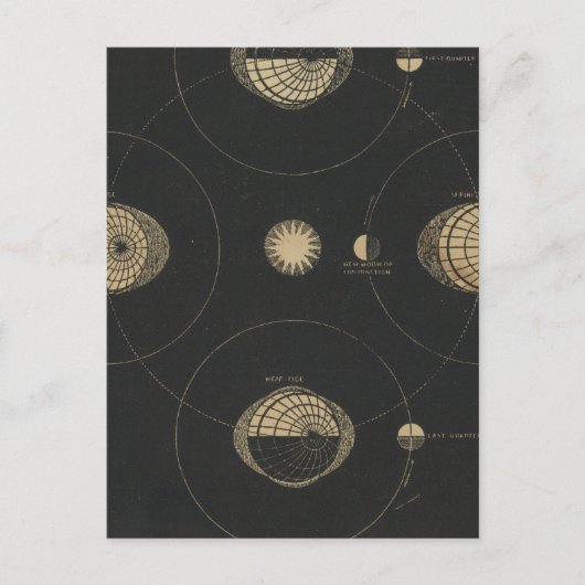 Tides Postkarte (Vorderseite)