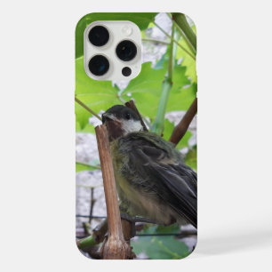 Tidi mein Vogel, die Kohlmeise iPhone 15 Pro Max Hülle