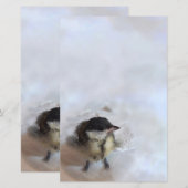 Tidi my Bird the Parus Major (Vorne/Hinten)
