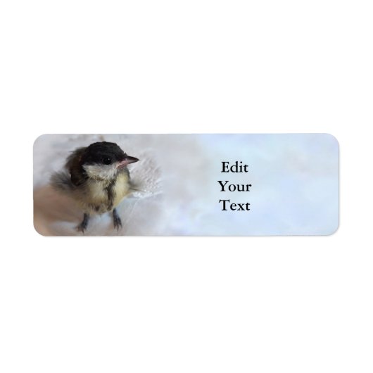 Tidi my Bird the Parus Major (Vorne)