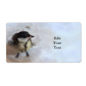 Tidi my Bird the Parus Major (Vorne)
