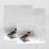 Tidi my Bird the Parus Major (Vorne/Hinten)