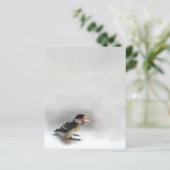 Tidi my Bird the Parus Major (Stehend Vorderseite)