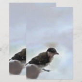 Tidi my Bird the Parus Major Briefpapier (Vorne/Hinten)